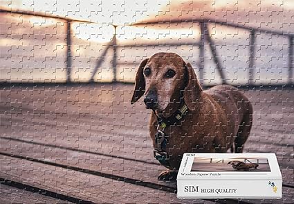 dachshund jigsaw puzzle