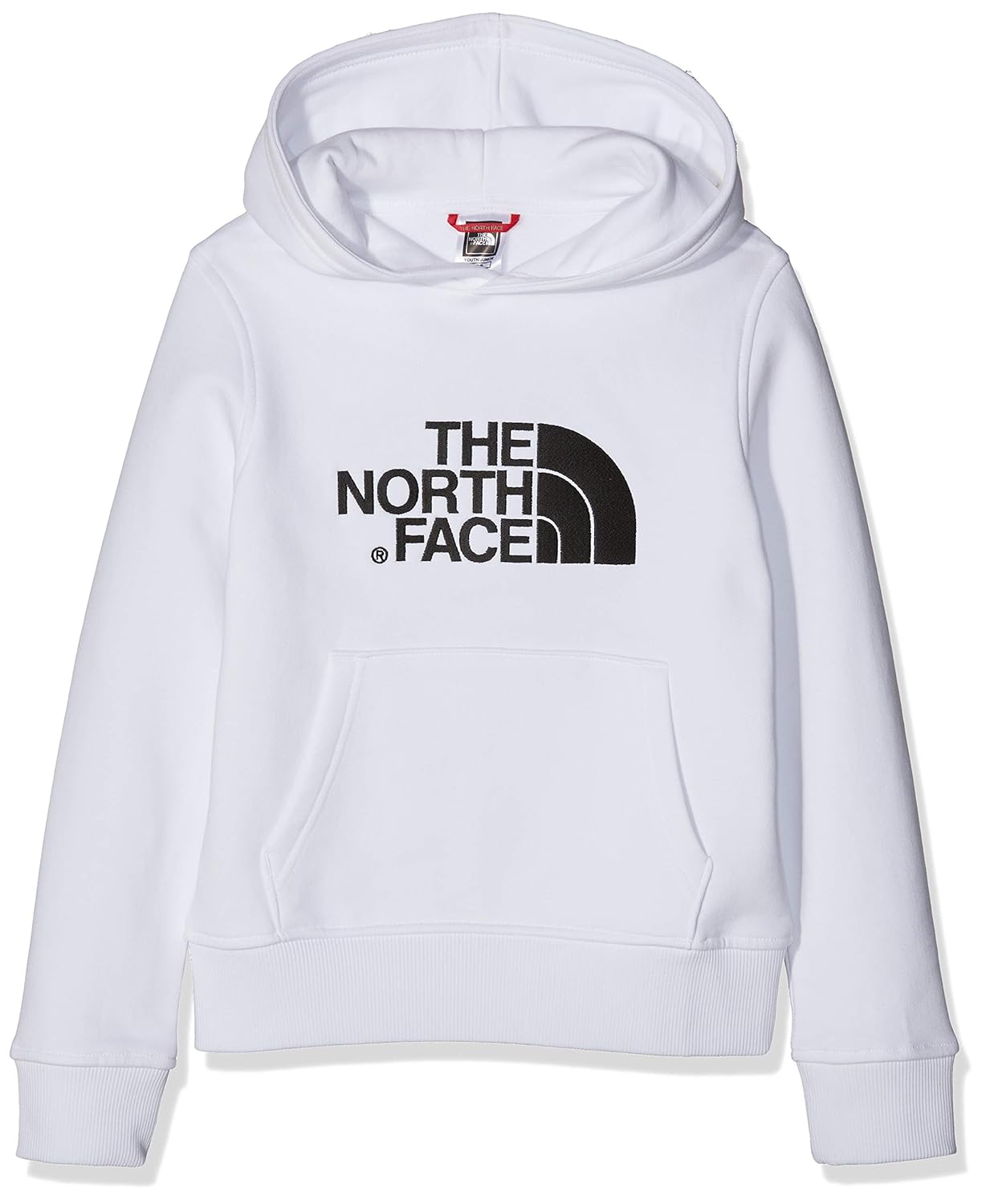 north face drew peak hoodie youth