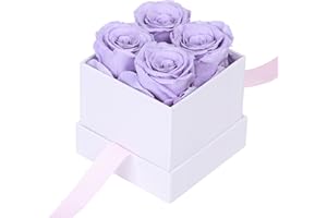 ANLUNOB Premium Preserved Roses, Handmade Rose Flowers Romantic Gifts for Mom Wife Girlfriend Perfect for Valentine's Day, Christmas, Weddings, or Any Occasion (Purple)