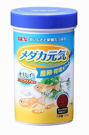 Amazon ジェックス 株式会社 ｇｅｘ メダカ元気産卵 育成用フード１００ｇ ４９７２５４７０２６３９２ ジェックス ウェット 通販