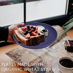 Homienly Wheat Straw Dinner Plates Set of 8-8 inch
