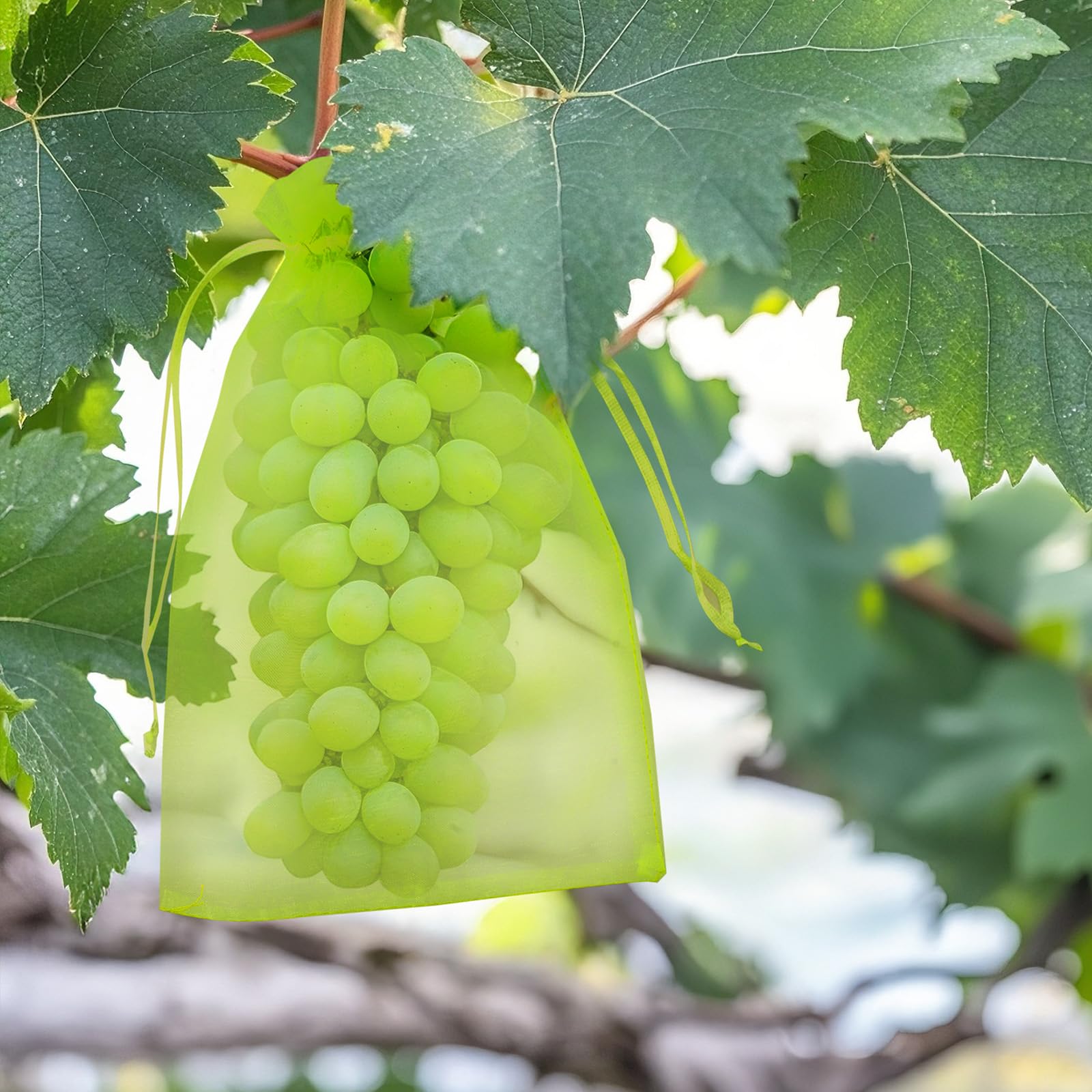 KINGLAKE 50pcs Fruit Protection Netting, Green Organza Gift Bags - Large, 20x30cm Garden Plant Protect Net for Fruits, Trees, Strawberry, Grape; Insects Barrier, Vegetables Mesh