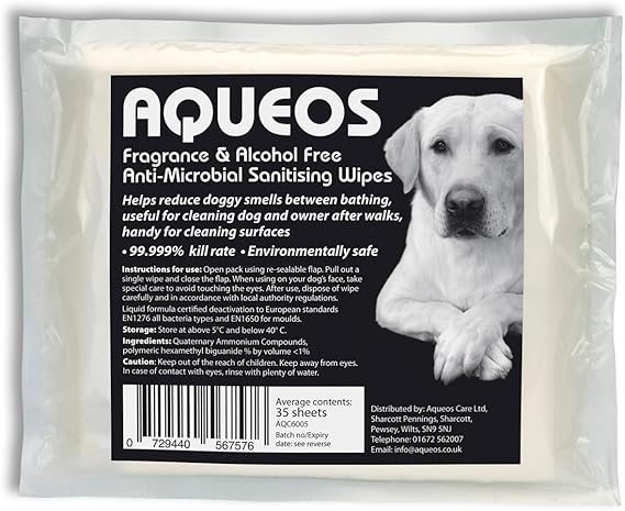 baybrook animal hospital