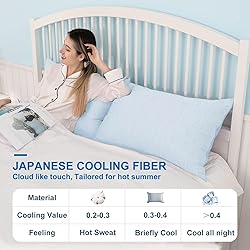 HOMFINE Cooling Pillowcases Queen Size - Double