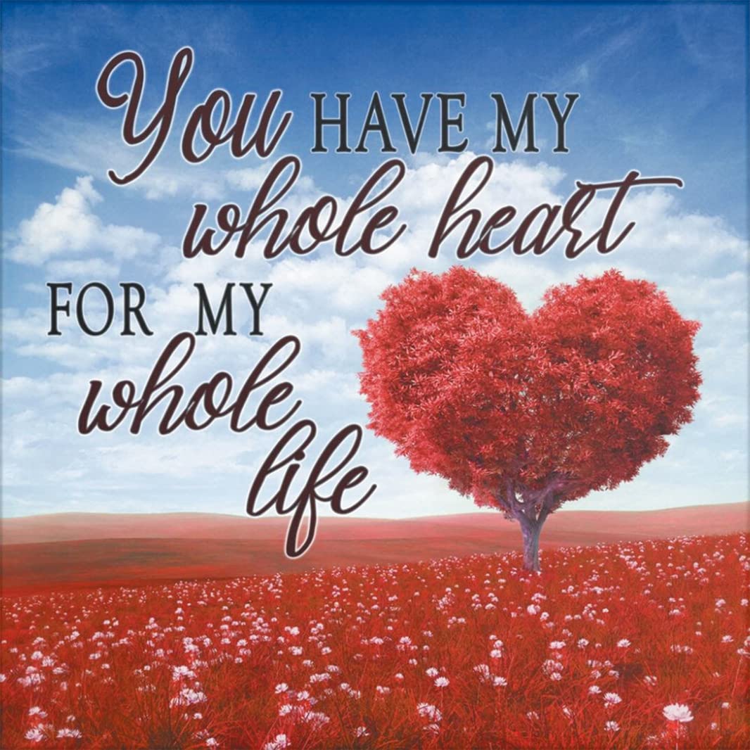 Cross Stitch Kits Stamped, OWN4B Warm Inspirational Sentences Printed Pattern 11CT 14.2x14.2 inch DIY Embroidery Kit (Heart)