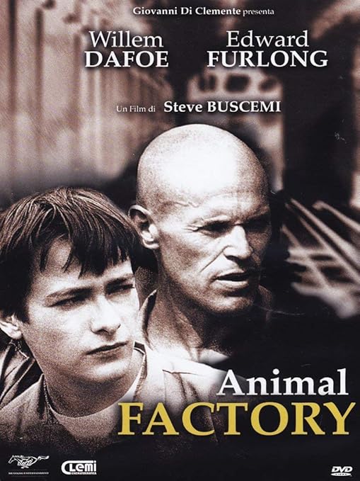 Animal Factory [DVD] Amazon.co.uk Willem Dafoe, Edward Furlong, Danny