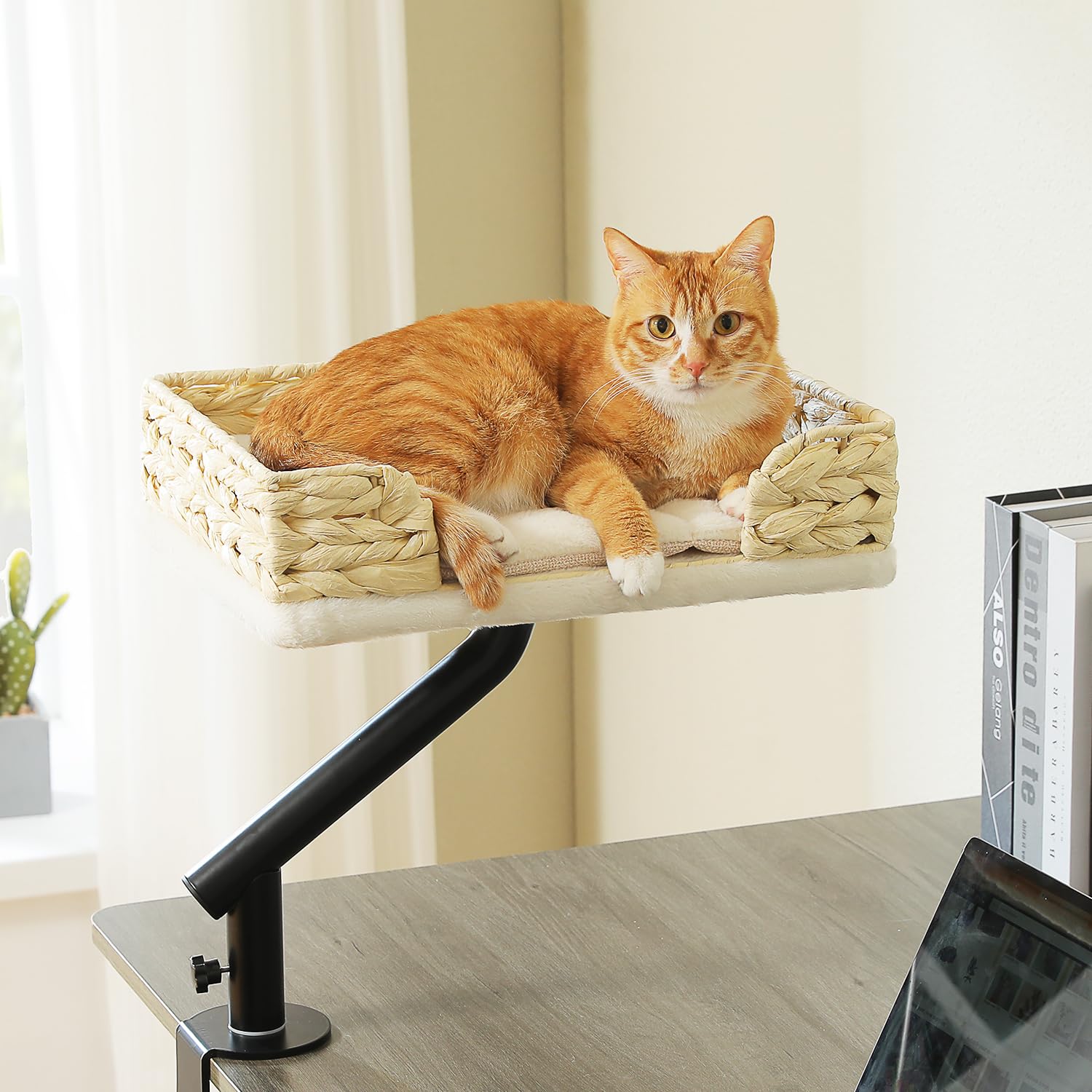 Photo 1 of PAWZ Road Cat Desk Bed for Indoor Cats, Wicker Cat Bed for Desk Supports Up to 50 lbs, 360° Rotation & Adjustable Soft Plush Cats Hammock for Desktop, White