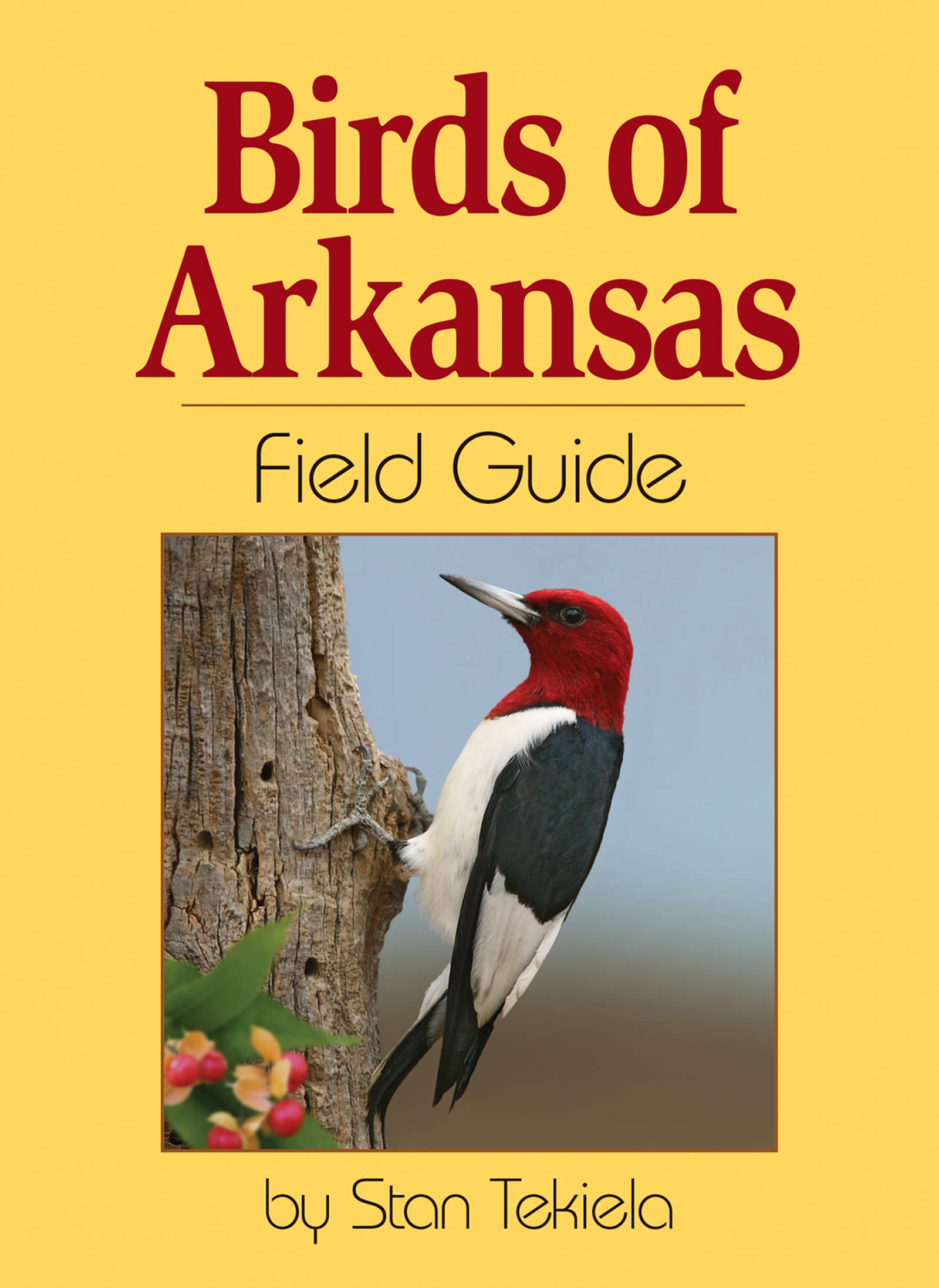 Birds Of Arkansas Field Guide Bird Identification Guides Tekiela