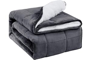 BUZIO Weighted Blanket Queen/Double 15 LBS 60x80 inches, Cozy Sherpa Weighted Blanket for Sofa Couch Bed, Ultra Soft Fluffy S