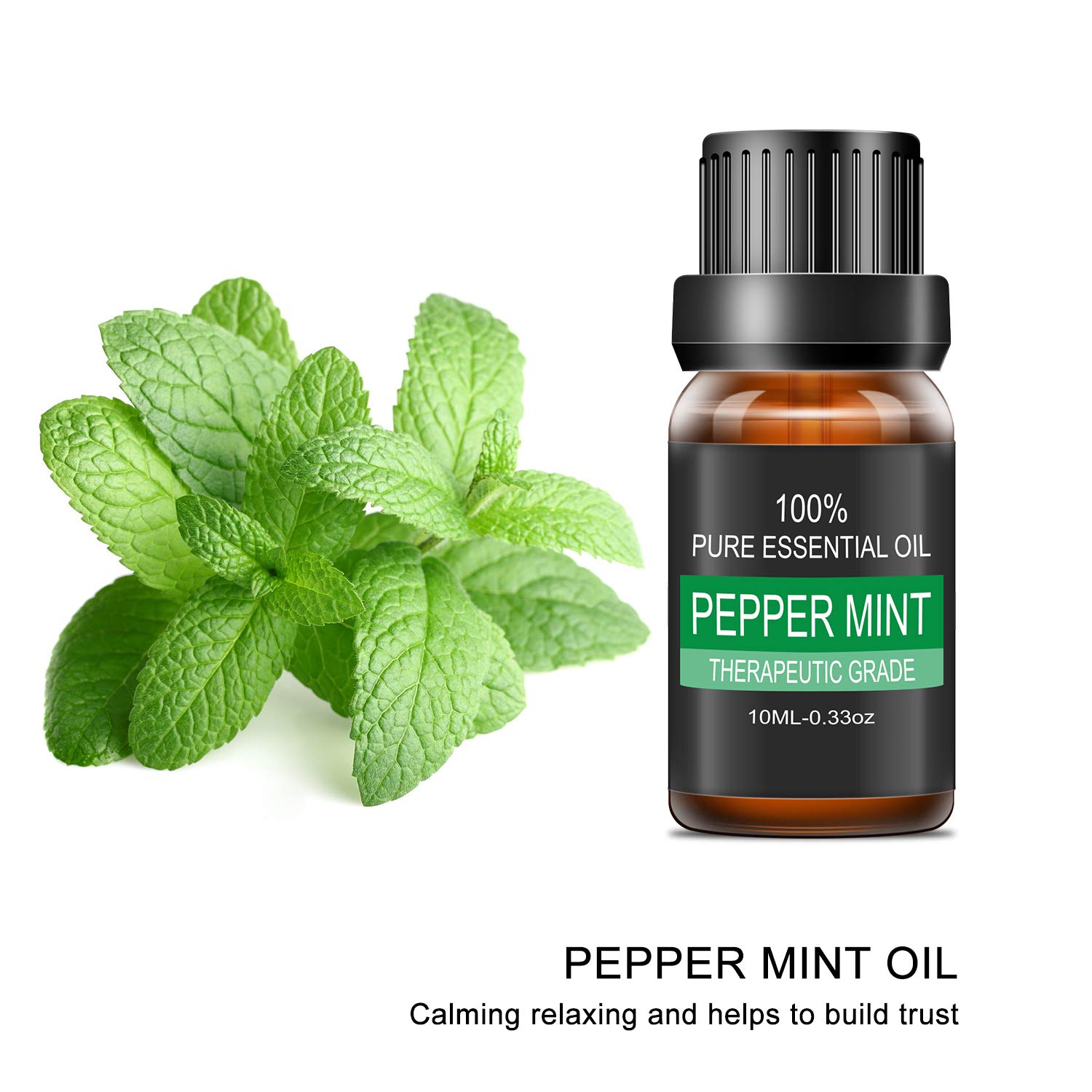 LATITOP Peppermint Essential Oil, 100% Pure & Natural Aromatherapy Essential Oils for Diffuser, Humidifier, Massage, Aromatherapy (10ml)