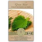 Gaea's Blessing Seeds - Green Shiso Seeds (Perilla), Heirloom Non-GMO Seeds with Easy to Follow Planting Instructions, Kaori Ao Shiso, Open-Pollinated, 94% Germination Rate