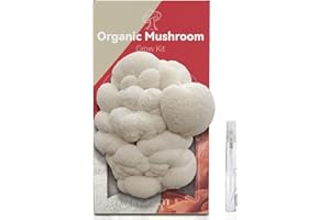 inbloom Organic Lion's Mane Mushroom Growing Kit with Spray, Harvest Fresh Mushrooms at Home, Beginner Friendly & Easy to Use, Unique Gardening Gift for Holiday, Handmade in New Jersey, USA