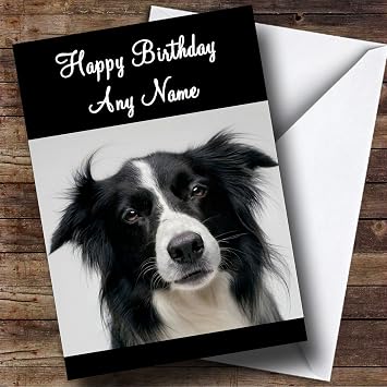 Resultado de imagen para Border Collie dog, related cards