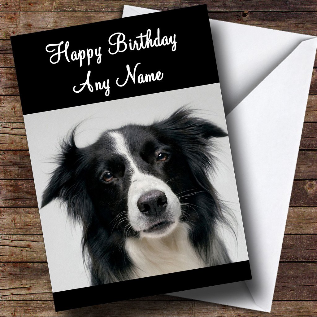Lovely Border Collie Dog Personalised Birthday Card | Birthday Card | Animals, Wildlife & Pets Card