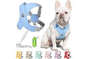 Patas Lague Dog Harness with Leash Set Adjustable Soft Padded Step-in Dog Vest No Choke No Pull Reflective for Small Medium Dogs with Poop Bags and Dispenser, Solid and No-chew, Blue S