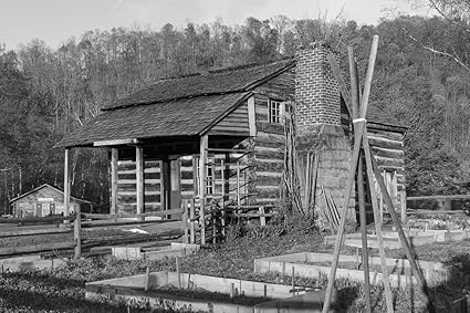 Amazon Com 8 X 12 Black White Photo The Mary Conrad Log Cabin At