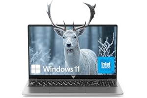 ACEMAGIC Laptop Intel N95 15.6-in 8GB DDR4 256GB SSD Intel Laptops, Windows Laptops Ordinateur-Portable Notebook-PC Laptop Co