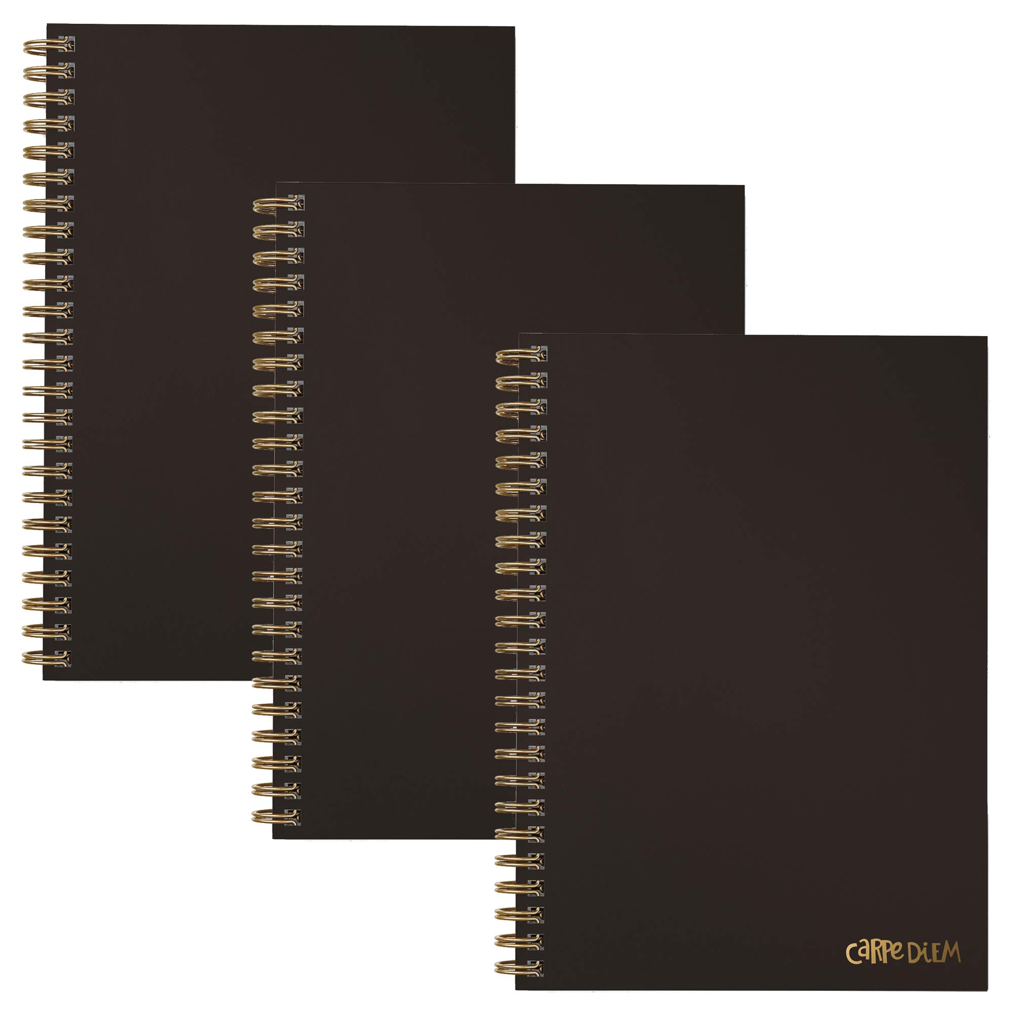 Pukka Pad, Carpe Diem 3-Pack B5 Hardcover Notebooks, 7 x 9.8 Inches Each, Black