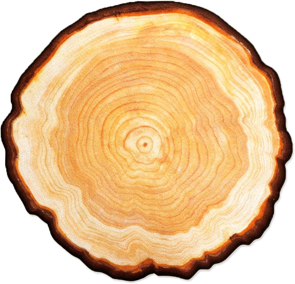 Best Carpet That Looks Like Wood