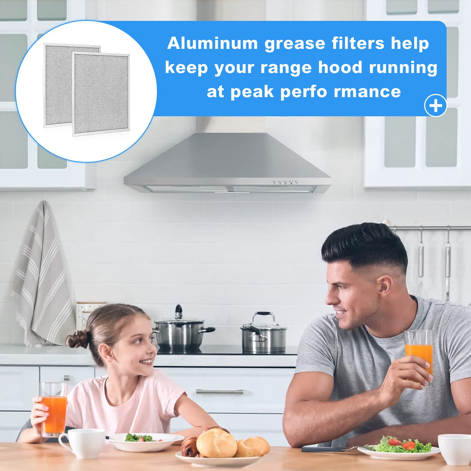 Range Hood Filter Replacement for Broan Model BPS1FA30, 99010299-11-3/4