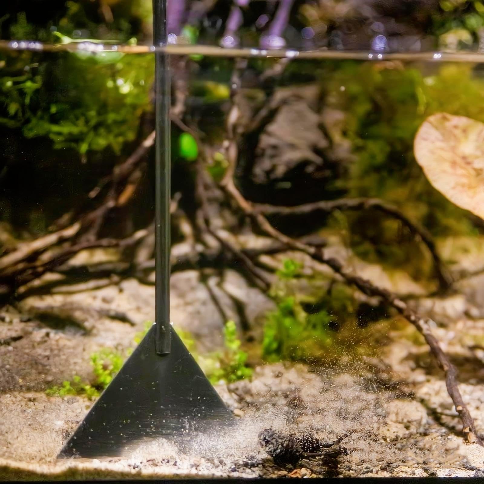 View 7