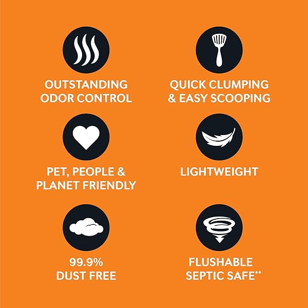 WORLD’S BEST CAT LITTER LOW TRACKING & DUST CONTROL MULTIPLE CAT UNSCENTED 15-POUNDS – NATURAL INGREDIENTS, QUICK CLUMPING, FLUSHABLE & MADE IN USA – LONG-LASTING ODOR CONTROL & EASY SCOOPING