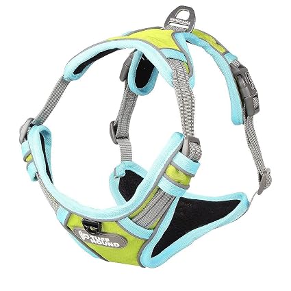 Chien Poitrine De Sport Harnais Gilet Pour Gros Chiens
