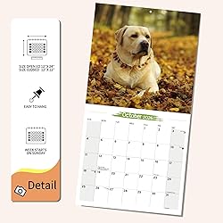 2026 Wall Calendar Labrador Retriever Planner
