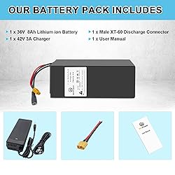 BtrPower 48V 20AH Lithinum ion Battery with 50A BMS