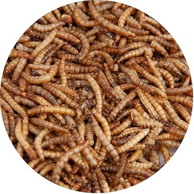 Walter’s Meal Worms (5L) Dried Mealworms for Wild Birds - Walter Products