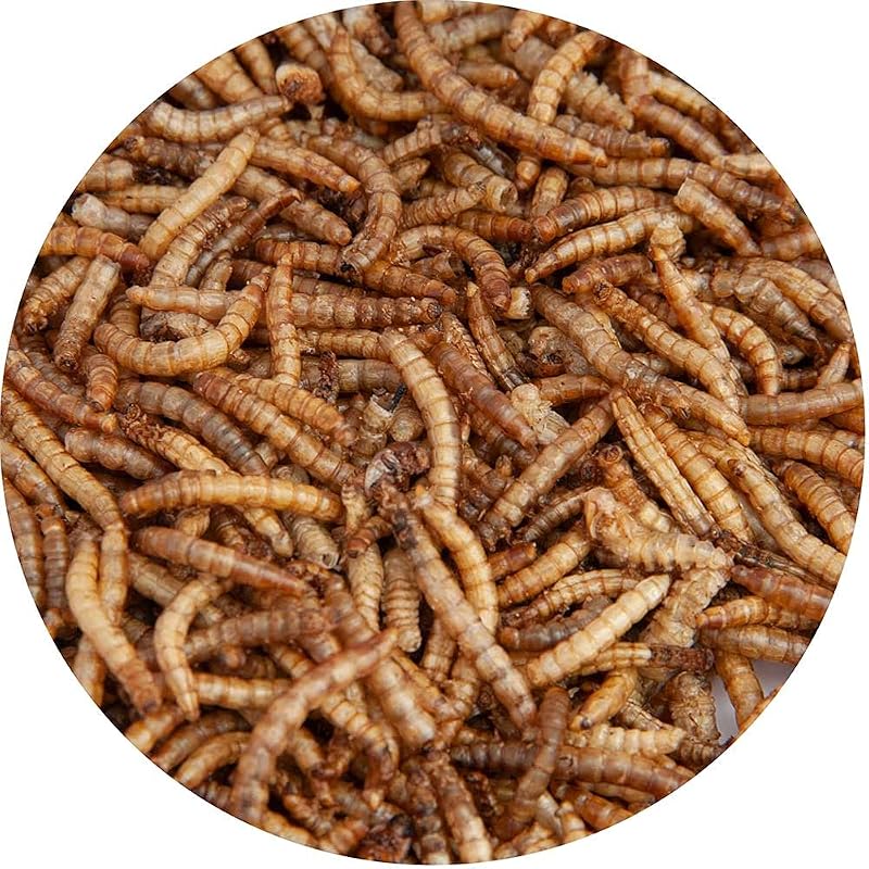 Walter’s Meal Worms (5L) Dried Mealworms for Wild Birds - Walter Products