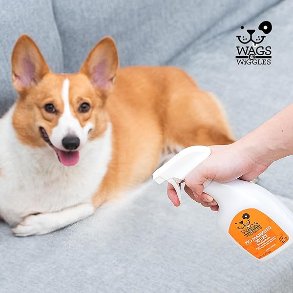 WAGS & WIGGLES NO MARKING DETERRENT TRAINING SPRAY FOR DOGS – INDOOR DOG PEE REPELLENT & BEHAVIOR AID, ANTI PEE & URINE DETERRENT, NO MORE MARKING, IDEAL FOR POTTY TRAINING, 16 FL OZ