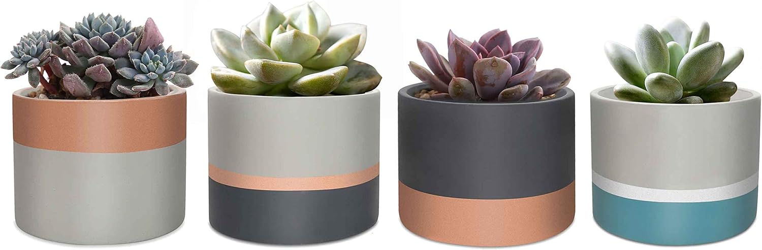 ANOTION Modern Succulent Planters, Mini Concrete Pots for Plants, Gold Succulent Pots, 3 Inch Cement Succulent Planter, Set of 4