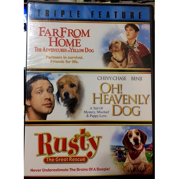 Amazon.com: Oh! Heavenly Dog [DVD] : Neil Affleck, Tony Angelo