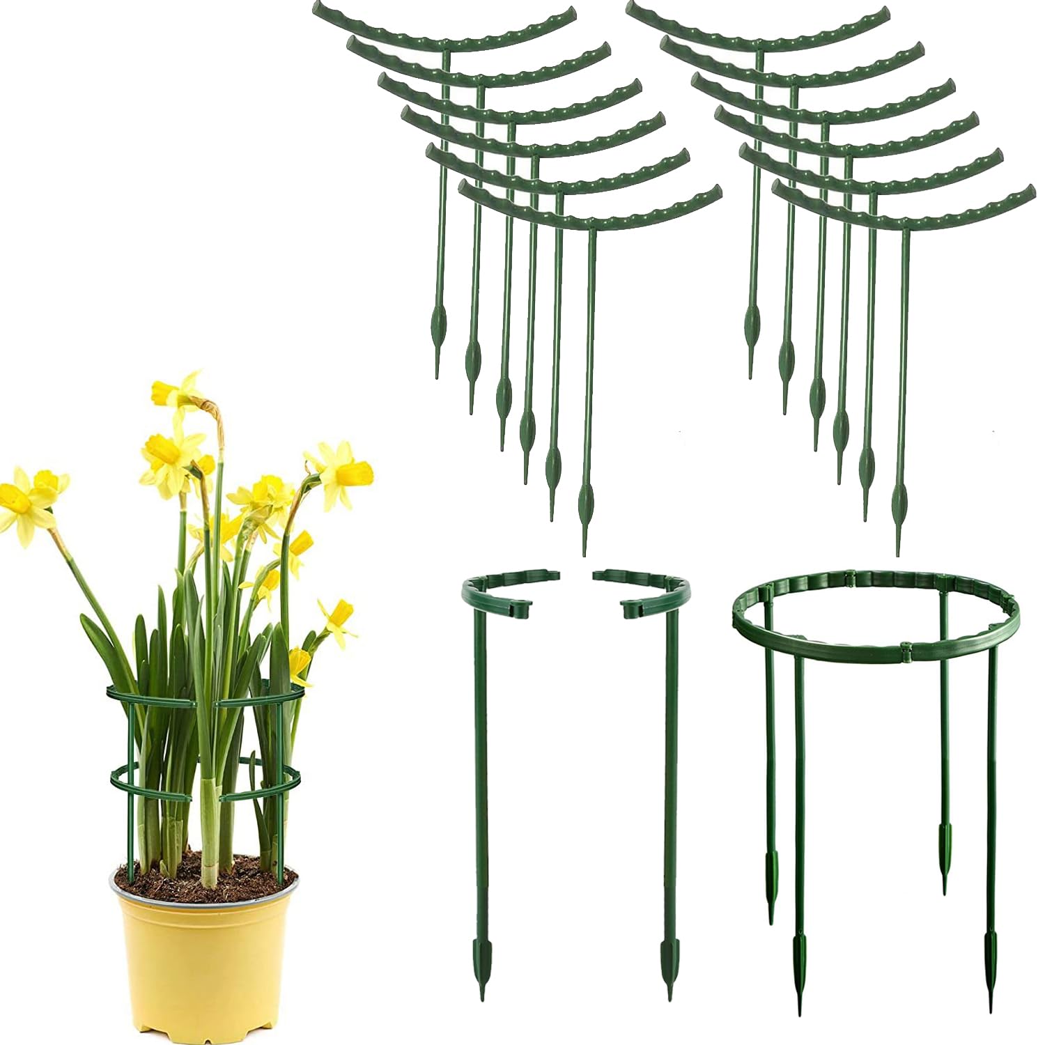 Garden Flower Support Ring,Ompinda Plastic Plant Support Plant Stakes Half Round Plant Cage Holder for Indoor and Outdoor Small Plant,Rose Flower,Succulent Plants (Half Round)