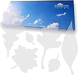 Anti-Collision Stickers to Prevent Bird Strikes on Window ...