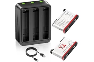 CITYORK 2 Pack 360 X4 Batteries with Charger, 2500mAh Batteries Compatible with 360X4 Camera, 3-Slot Battery Charging Station