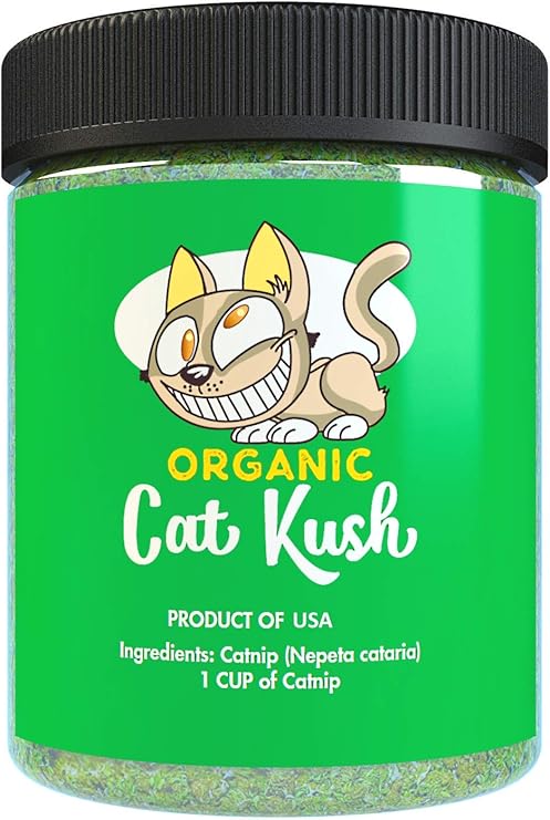 catnip products for cats
