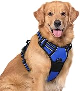 rabbitgoo Large Dog Harness No Pull Reflective Adjustable Blue XL