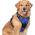 rabbitgoo Dog Harness No Pull with 2 Leash Clips, Adjustable Soft Padded, Reflective Oxford No Choke Pet Vest with Easy Control Handle for Large Dogs, Dazzling Blue, XL