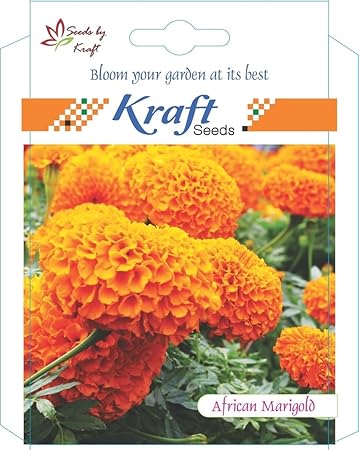 Kraft Seeds African Marigold Flower Seeds (Orange)