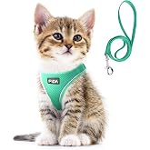 Fida Cat Harness and Leash Set for Walking Kitten and Puppy, Escape Proof Kitten Harness with Breathable Lightweight Soft Mesh, Adjustable Reflective Step-in Design. (S, Green)