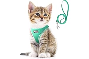 Fida Cat Harness and Leash Set for Walking Kitten and Puppy, Escape Proof Kitten Harness with Breathable Lightweight Soft Mesh, Adjustable Reflective Step-in Design. (XXXS, Green)