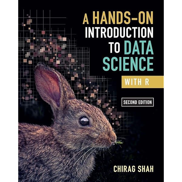 コンピュータ・IT INTRODUCTION TO DATA SCIENCE An Introduction to Data Science: Saltz, Jeffrey S., Stanton
