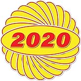 2020 Car Model Year Windshield Stickers | 14" x 5.5" Oval Stickers for Car Dealerships, Vehicle Windshields (Pack of 12)