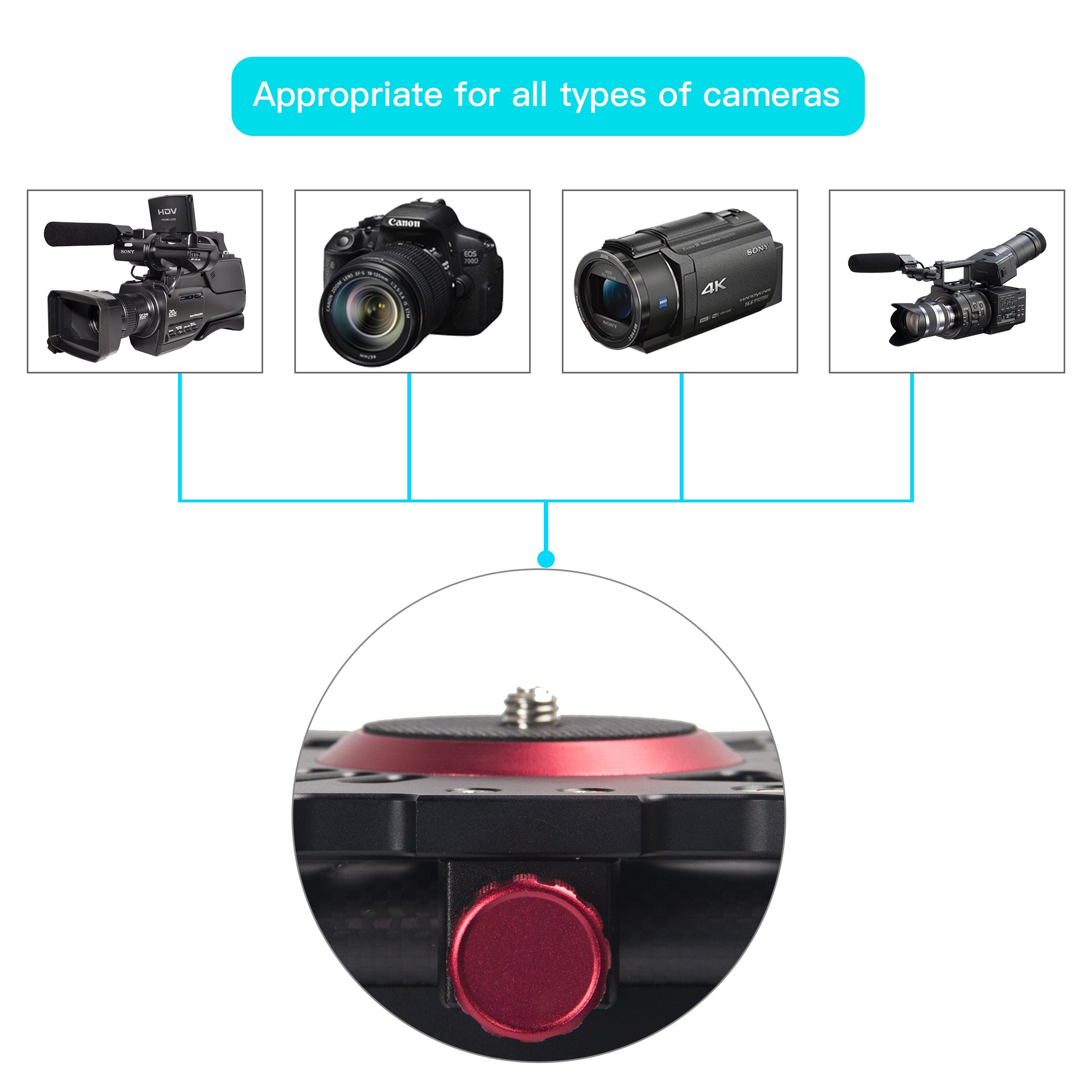 ZoMei Camera Slider Carbon Fiber Dolly Rail, 23 inches/60 cm with 1/4\