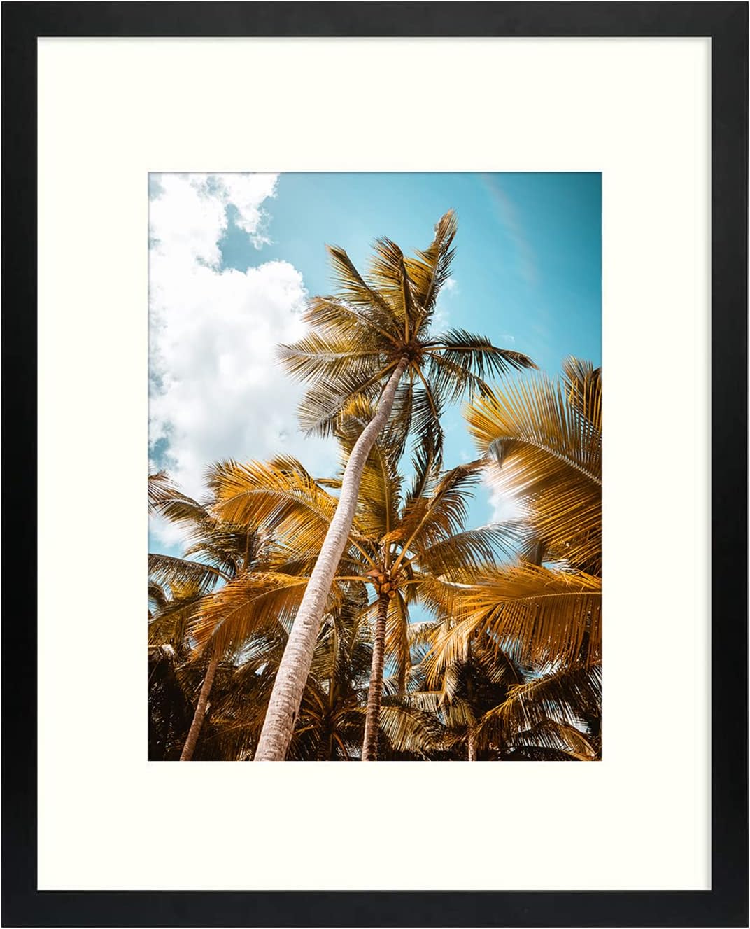 Photo Albums, Frames & Accessories - Frametory, 16x20 Picture Frame with Mat for 11x14 Picture- - High Definition Glass Wide Molding - Preinstalled Wall Mounting Hardware (Black, 1 Pack)