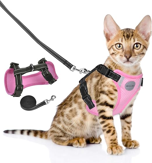 reflective cat harness
