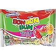 Colombina Bon Bon Bum Lollipops, Assorted Flavor, 48 Count (Pack of 1)