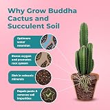 Grow Buddha Cactus Succulent Soil Mix 2L Indoor Potting Compost view 3